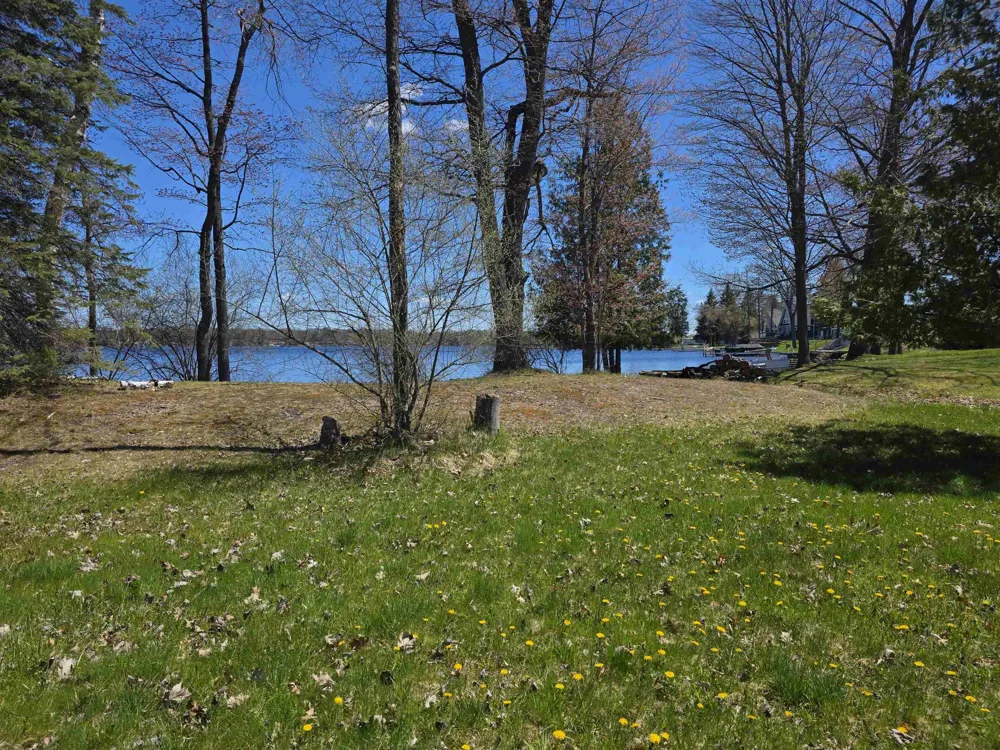 Bliss Road Plainfield Township, MI 48739