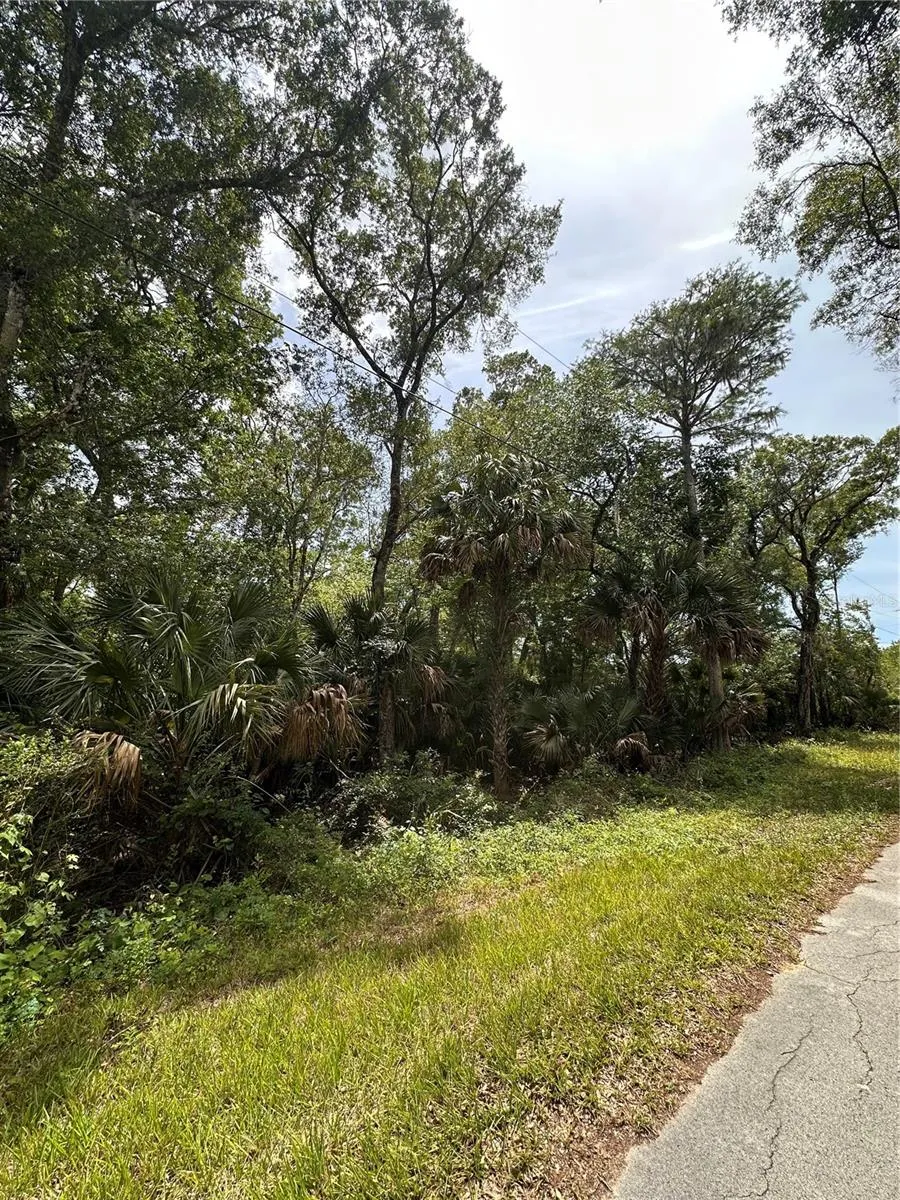 8744 W OAK STREET Crystal River, FL 34428