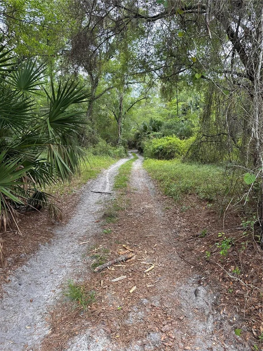 8744 W OAK STREET Crystal River, FL 34428