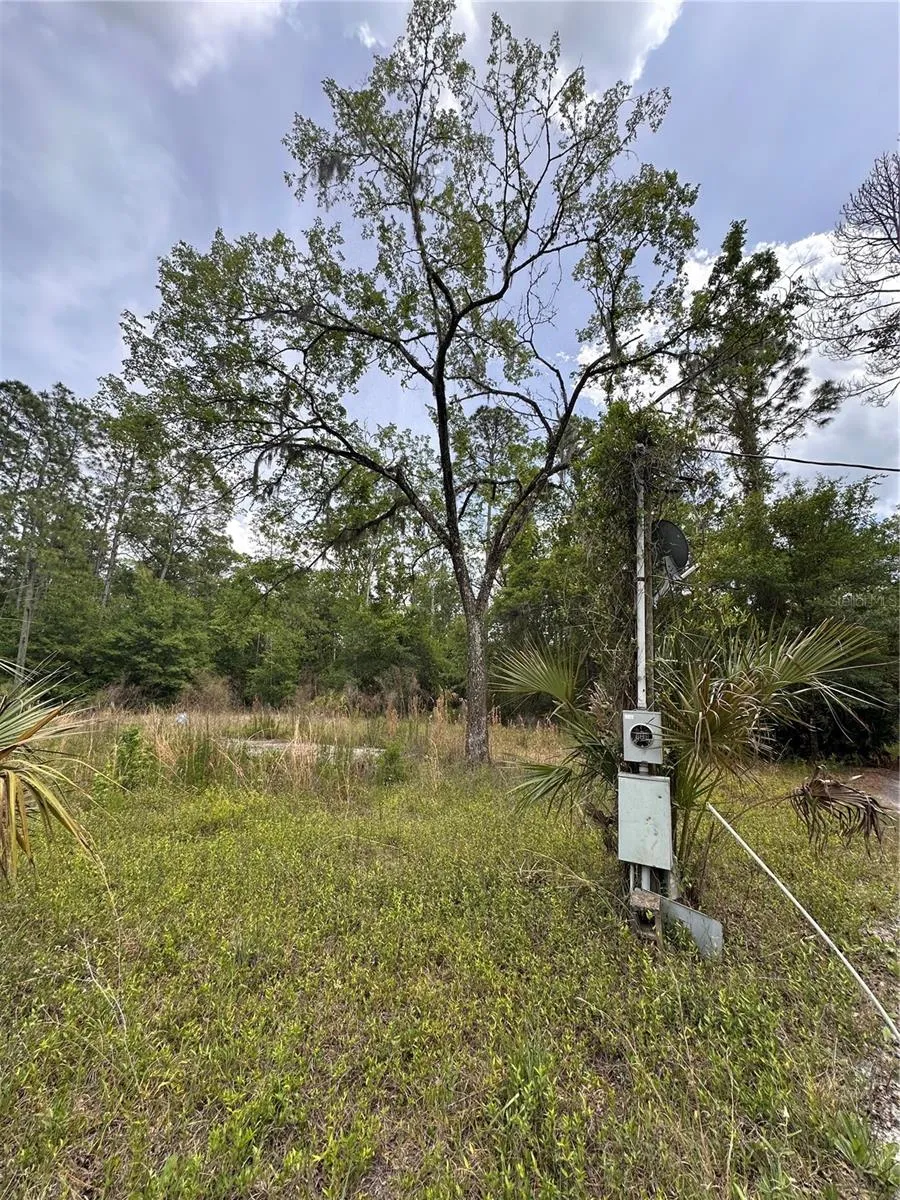 8744 W OAK STREET Crystal River, FL 34428
