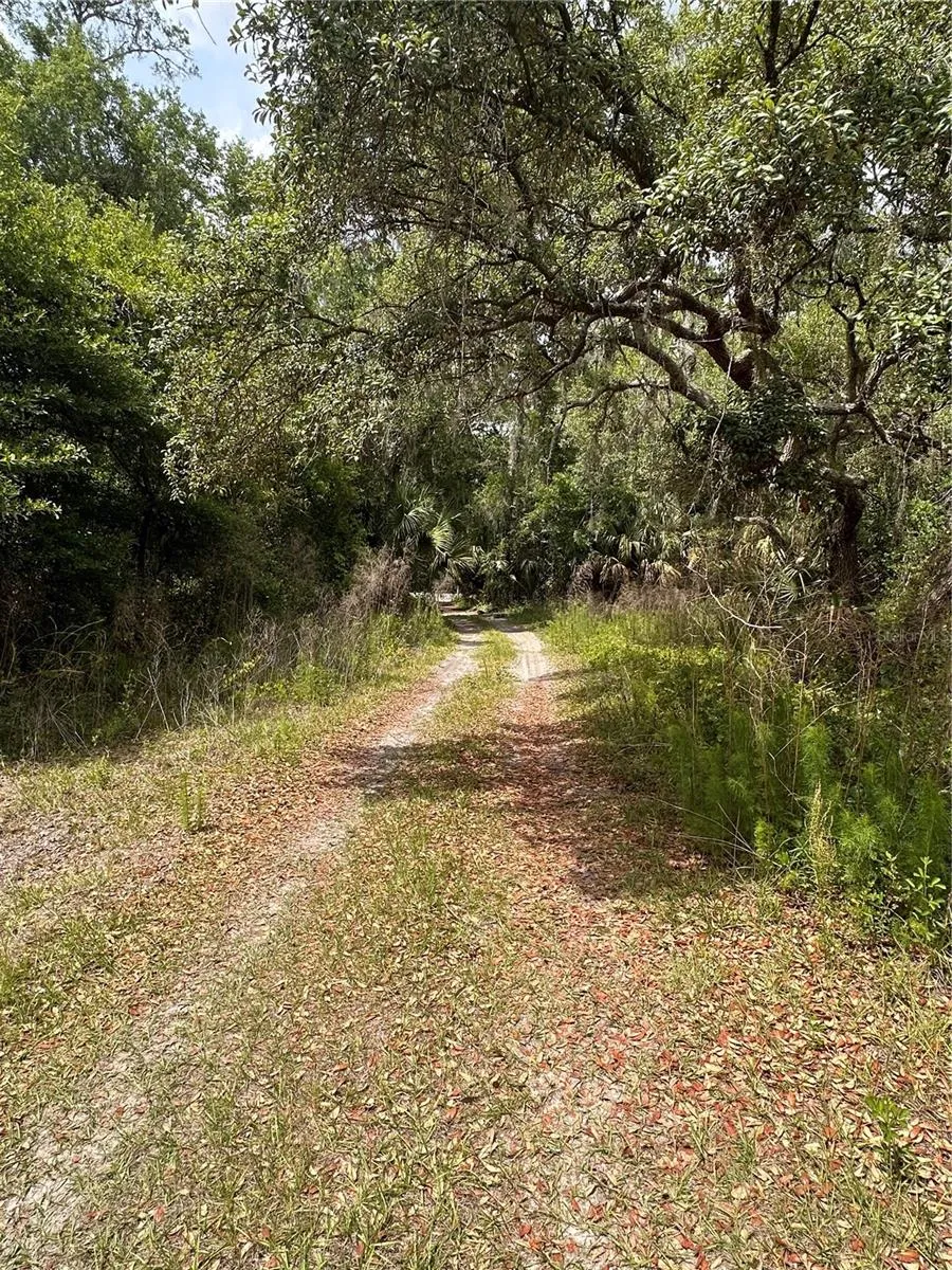 8744 W OAK STREET Crystal River, FL 34428