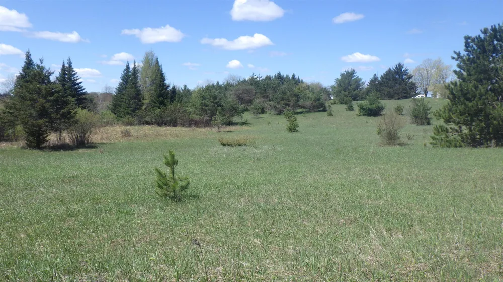 39 ROAD Clam Lake Township, MI 49601