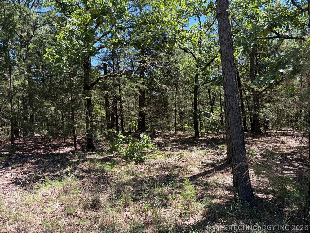 John's Valley Road Moyers, OK 74557