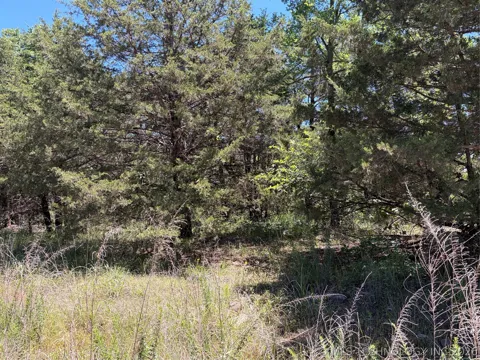 John's Valley Road