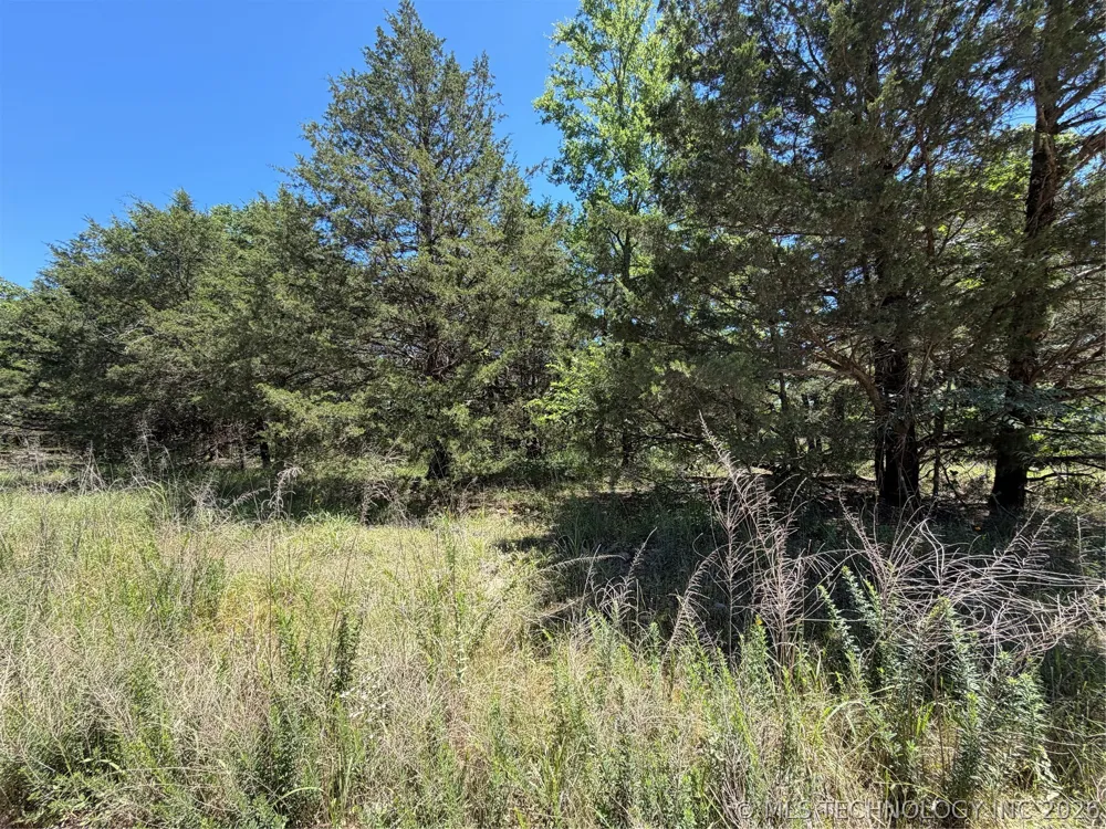 John's Valley Road Moyers, OK 74557