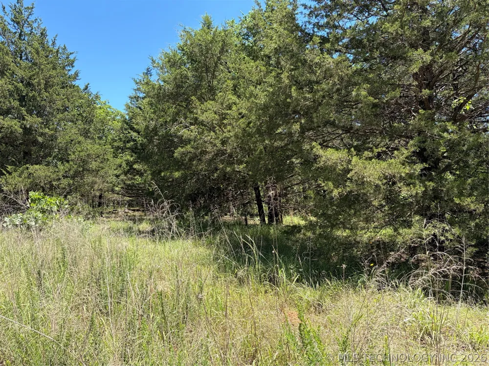 John's Valley Road Moyers, OK 74557