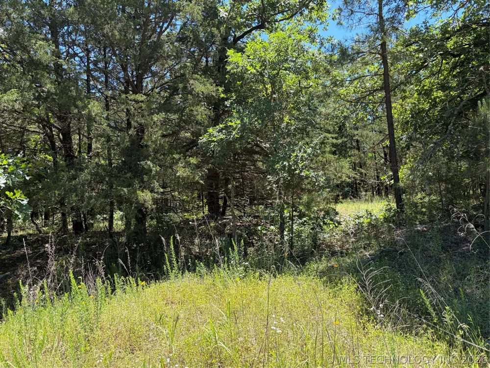 John's Valley Road Moyers, OK 74557