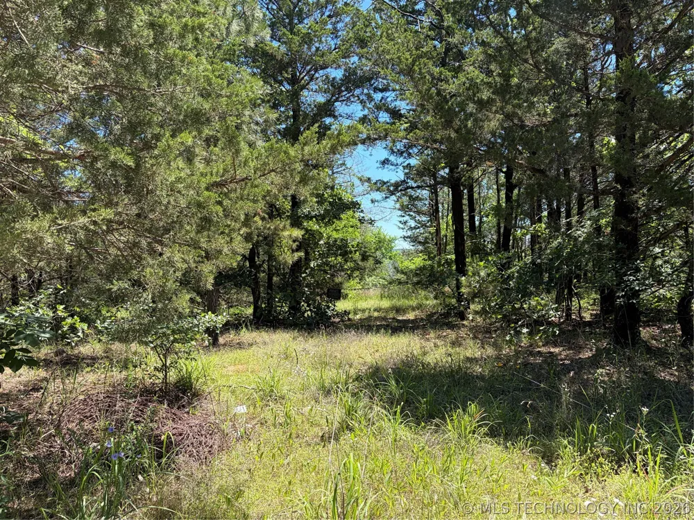 John's Valley Road Moyers, OK 74557