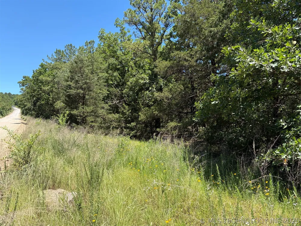 John's Valley Road Moyers, OK 74557