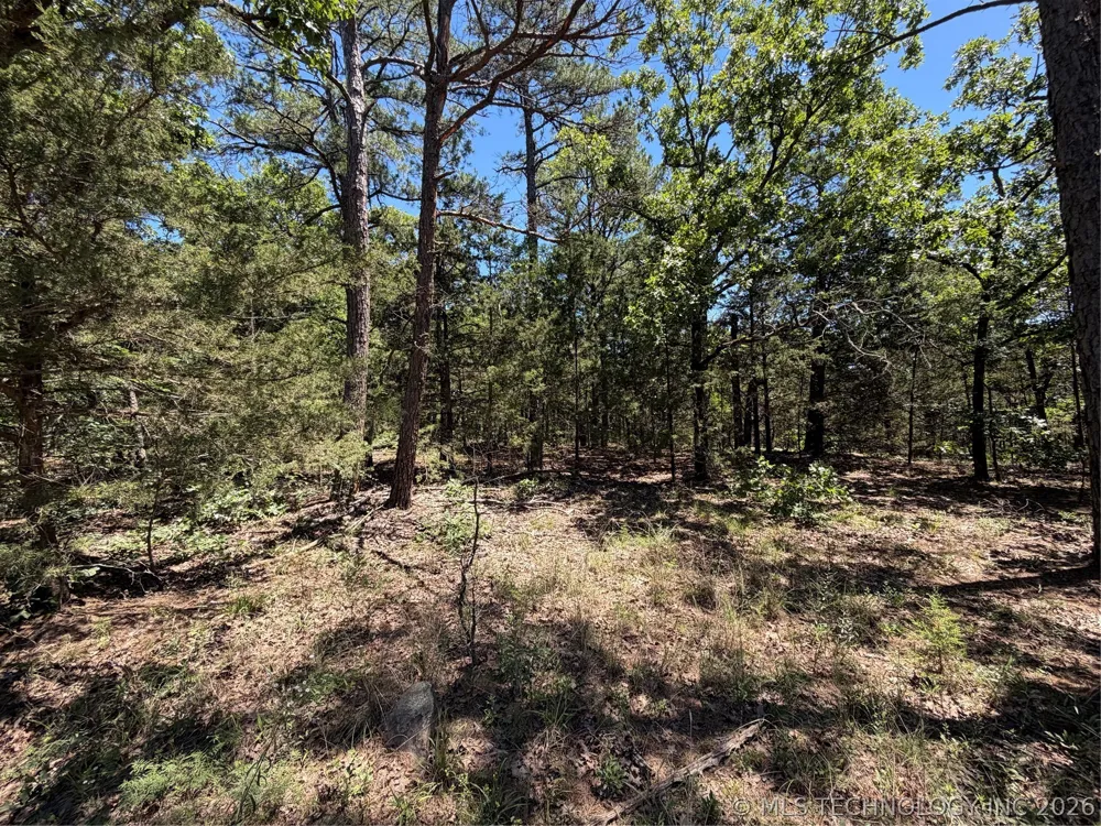 John's Valley Road Moyers, OK 74557