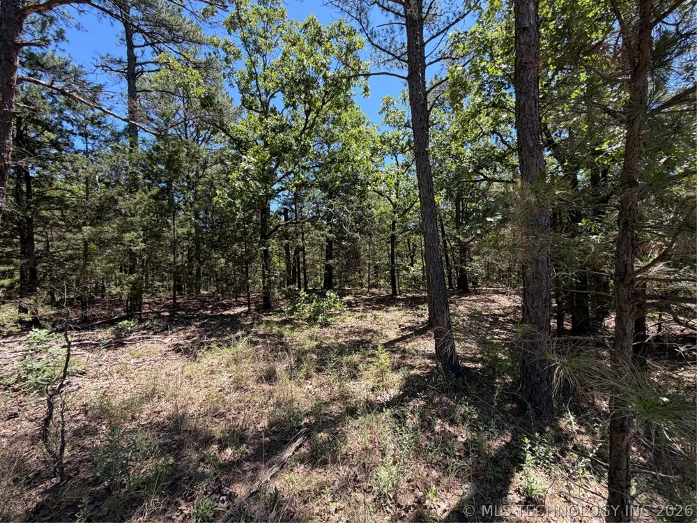John's Valley Road Moyers, OK 74557