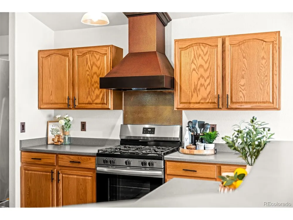 8795 E 105th Court Henderson, CO 80640