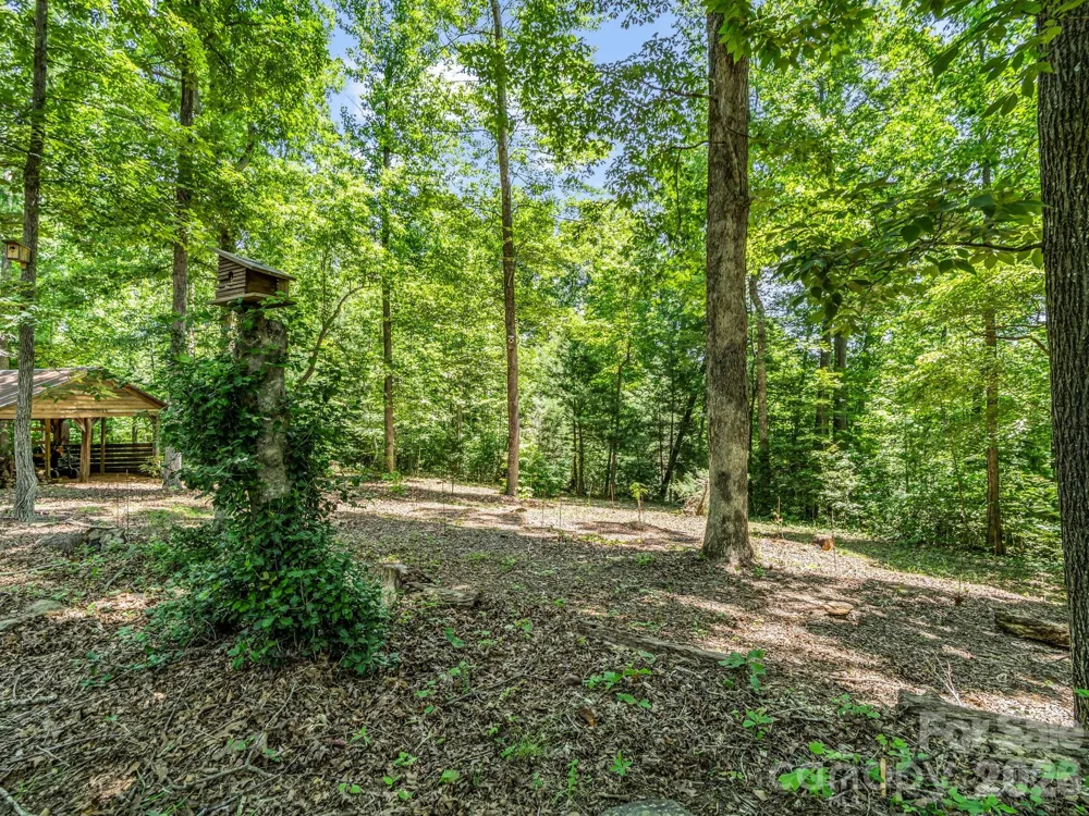 670 Cedar Creek Road Lake Lure, NC 28746