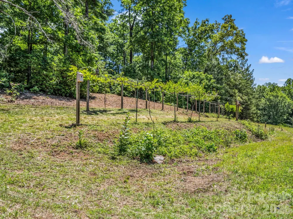 670 Cedar Creek Road Lake Lure, NC 28746