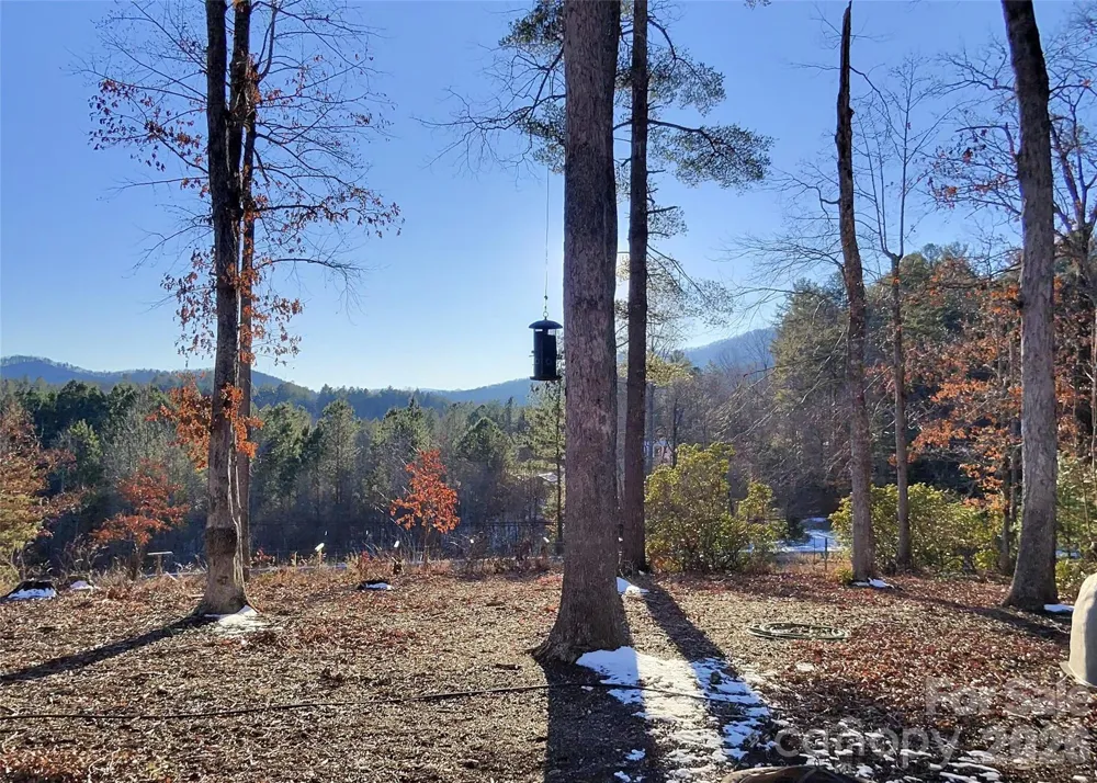 670 Cedar Creek Road Lake Lure, NC 28746