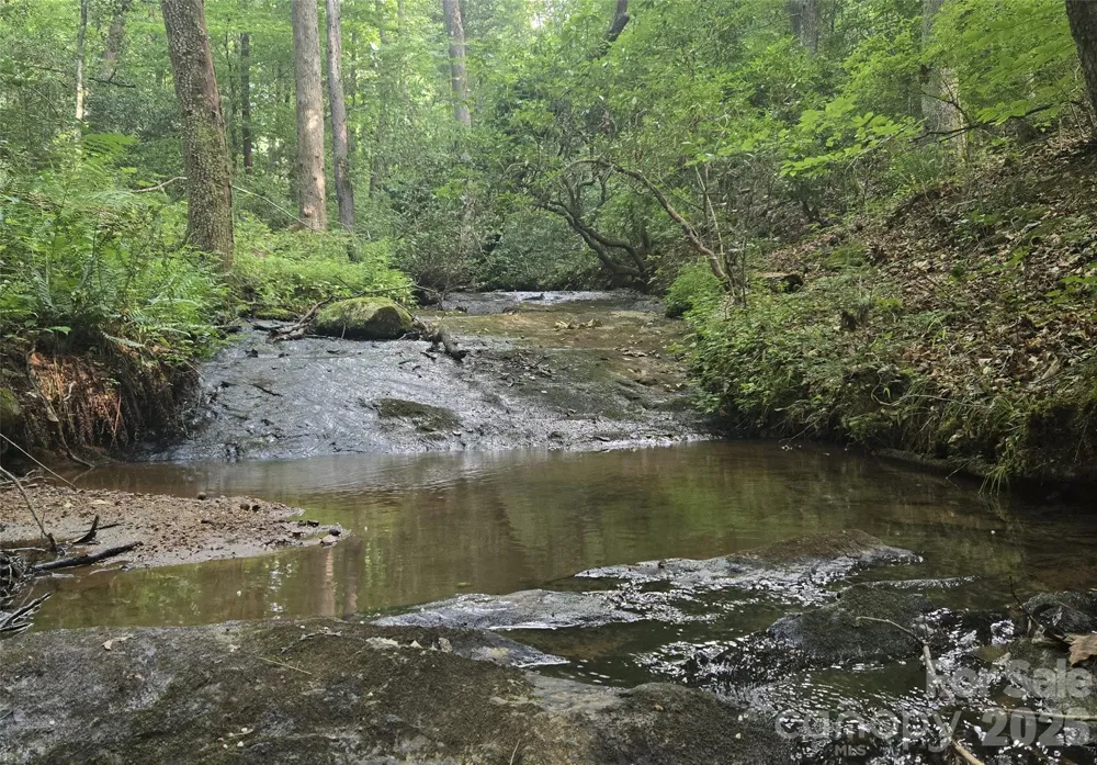 670 Cedar Creek Road Lake Lure, NC 28746