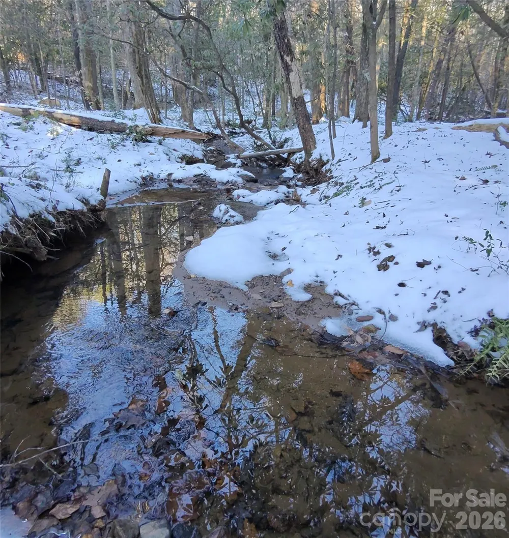 670 Cedar Creek Road Lake Lure, NC 28746