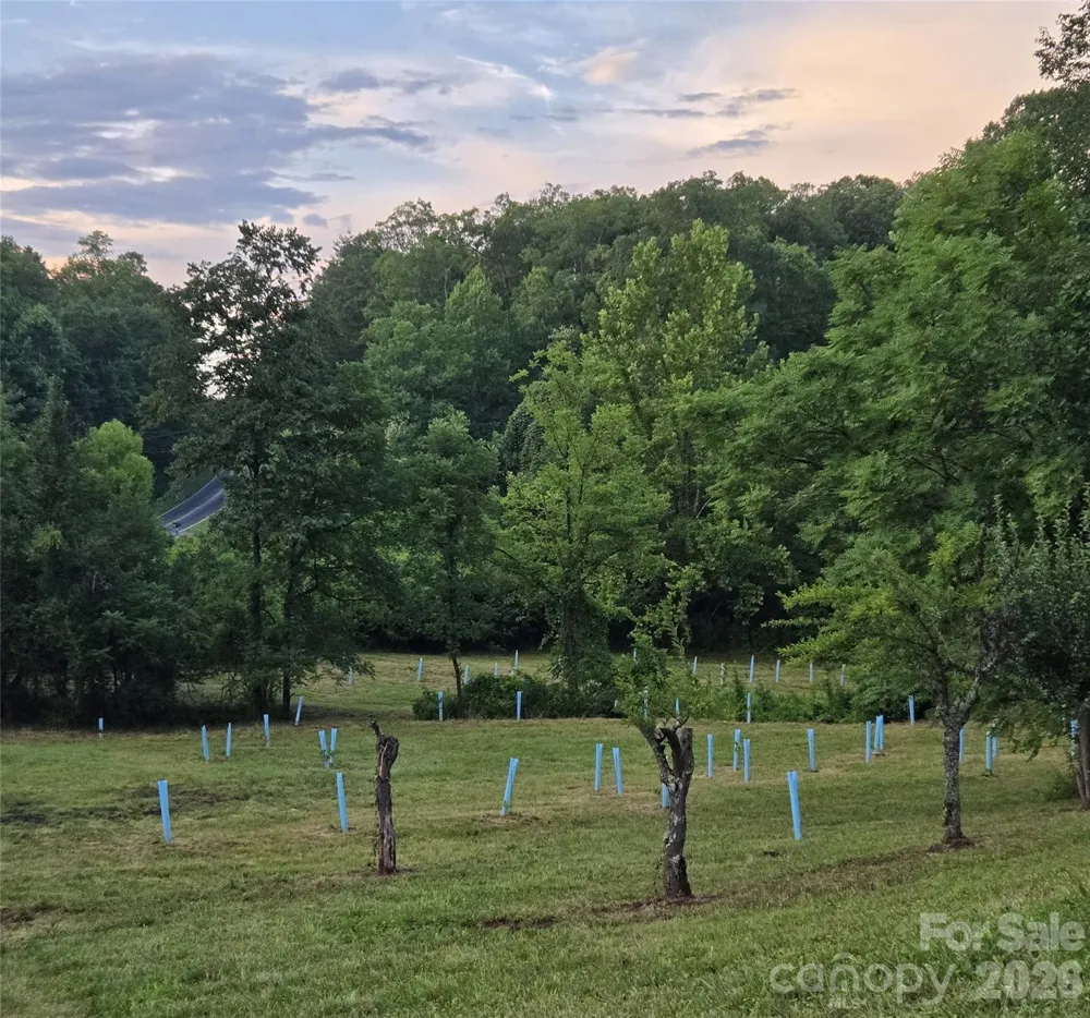670 Cedar Creek Road Lake Lure, NC 28746