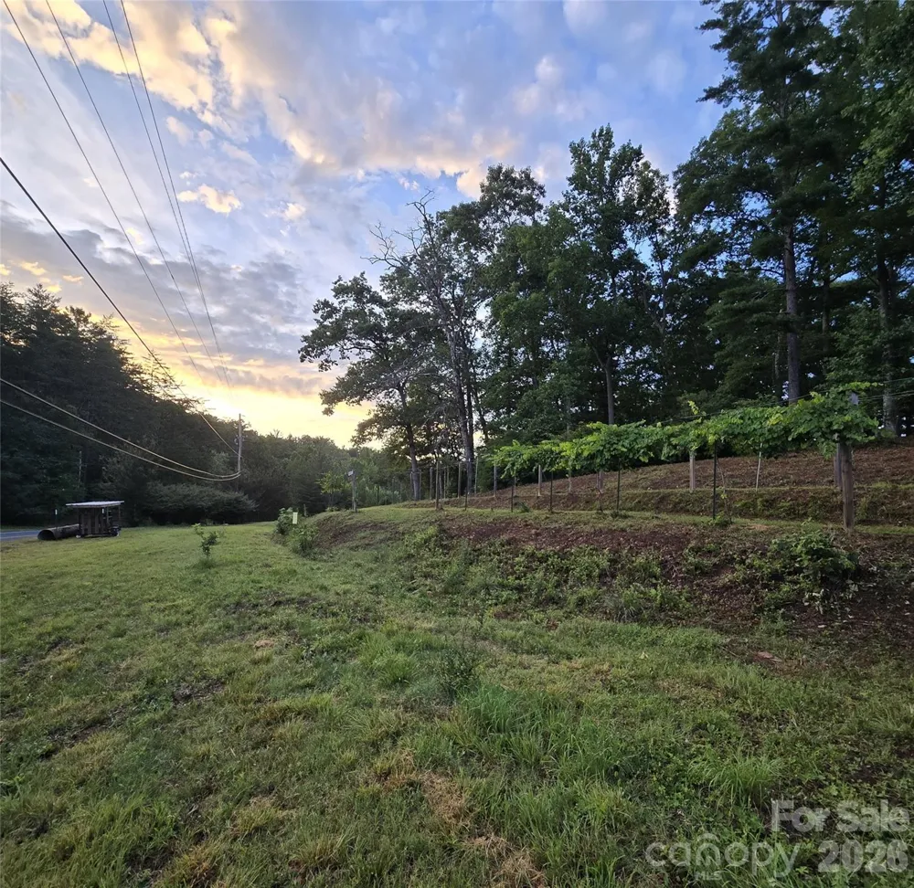670 Cedar Creek Road Lake Lure, NC 28746