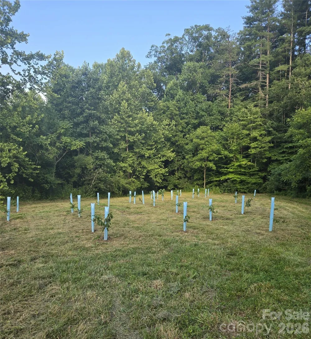670 Cedar Creek Road Lake Lure, NC 28746
