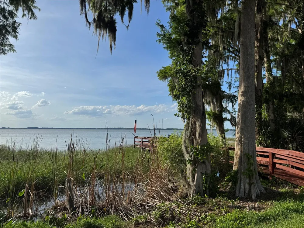 39 FOREST LANE Eustis, FL 32726