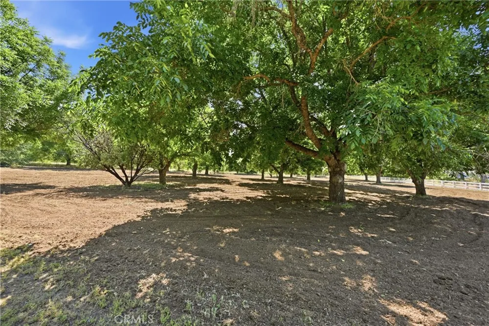 13500 Eastlake Clearlake, CA 95422