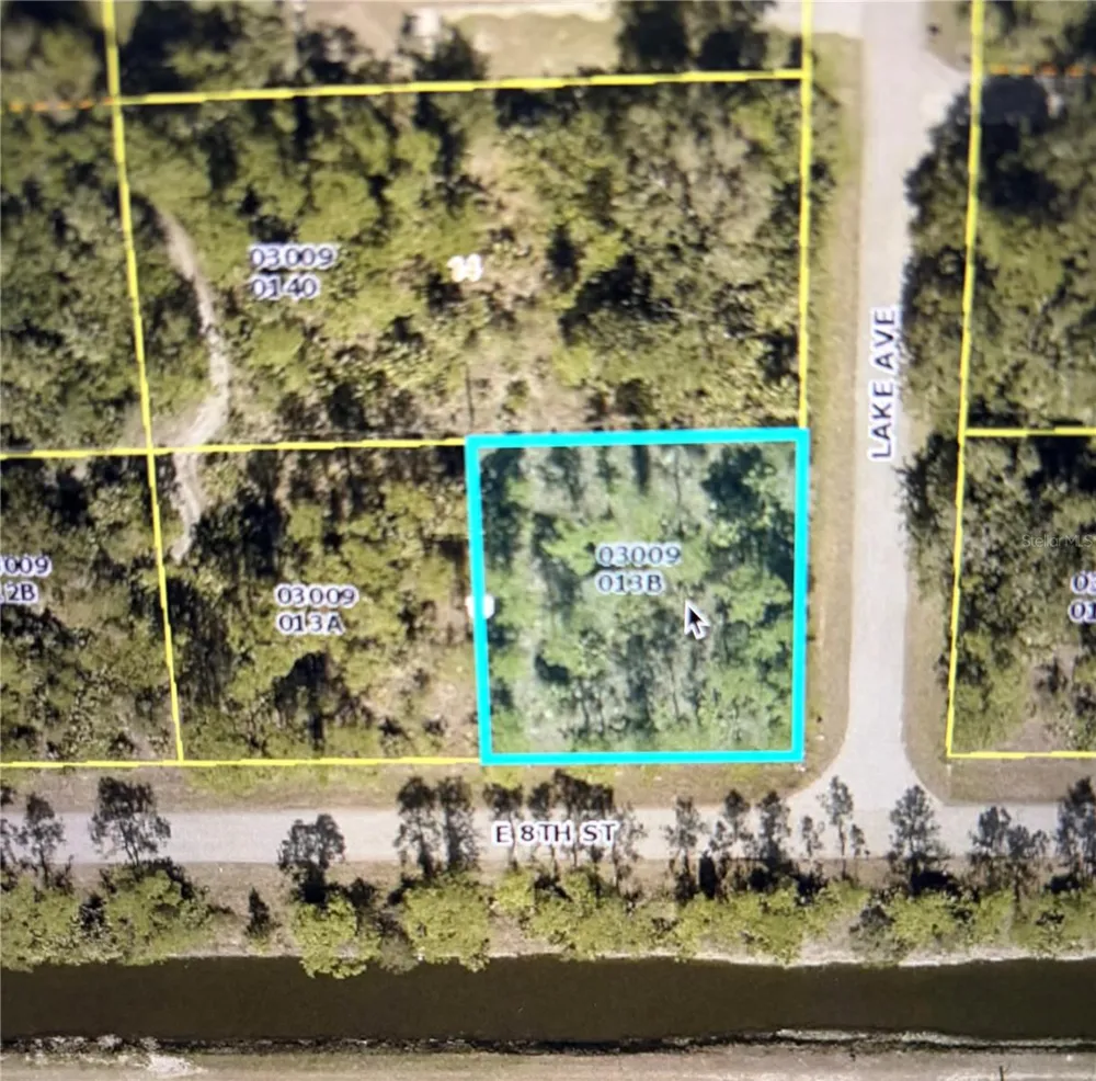 807 E 8TH STREET Lehigh Acres, FL 33972