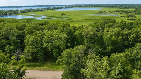 116 Lakeview Trail