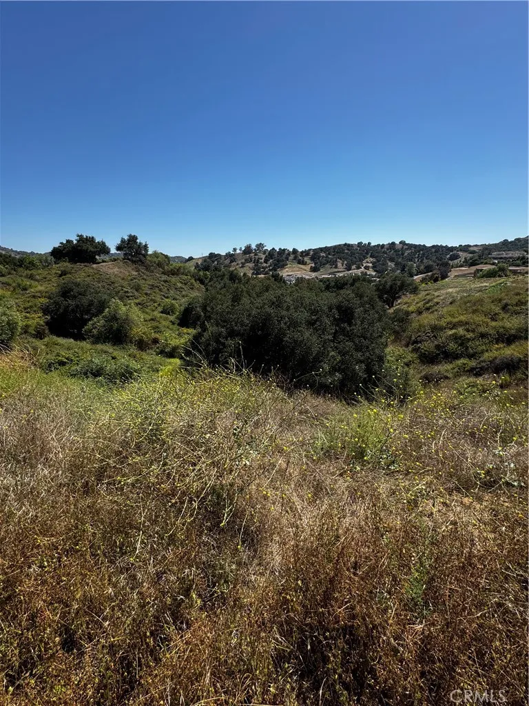15897 Oak Tree Chino Hills, CA 91709