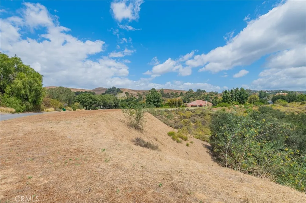15897 Oak Tree Chino Hills, CA 91709