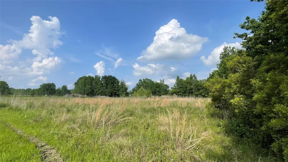 Mac Lane Ames, TX 77575