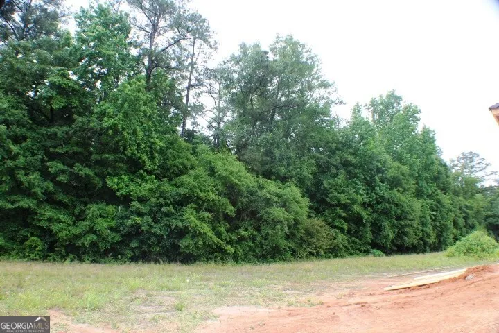 628 Ellie Circle Dublin, GA 31021