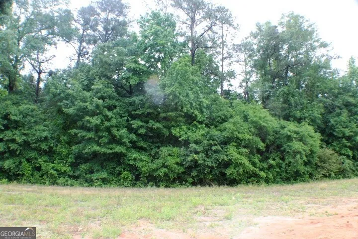 628 Ellie Circle Dublin, GA 31021