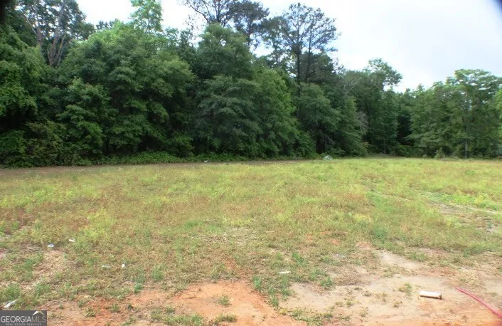 624 Ellie Circle Dublin, GA 31021