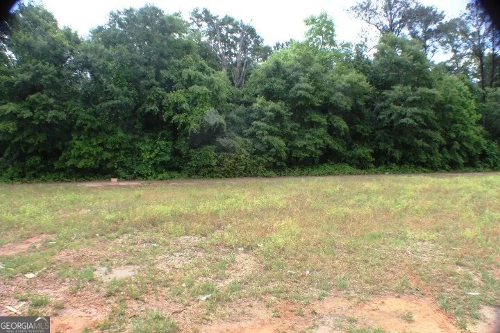 624 Ellie Circle Dublin, GA 31021