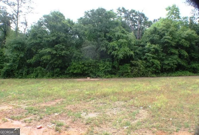 624 Ellie Circle Dublin, GA 31021