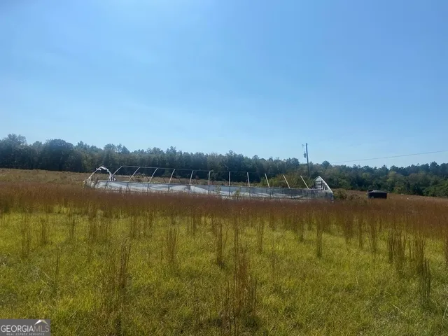 1339 Jones Chapel RD Sparta, GA 31087