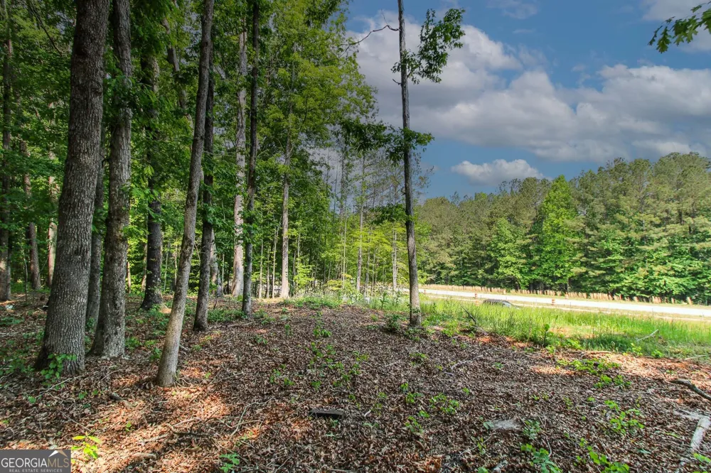 0 McCarty RD Statham, GA 30666