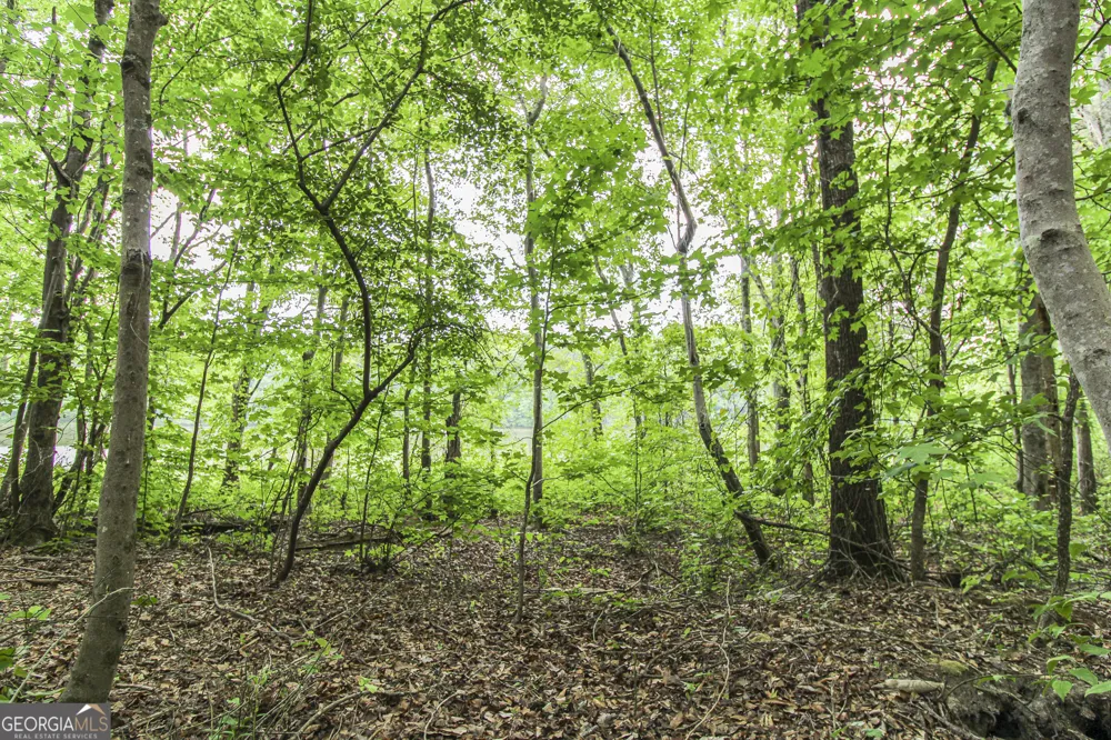 0 McCarty RD Statham, GA 30666