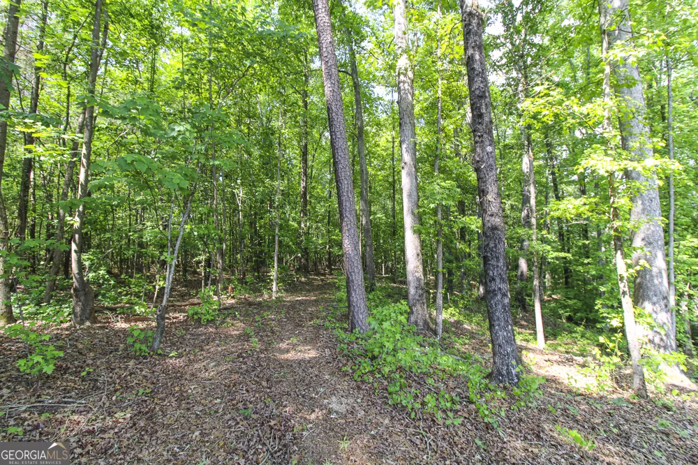 0 McCarty RD Statham, GA 30666