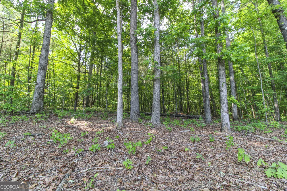 0 McCarty RD Statham, GA 30666