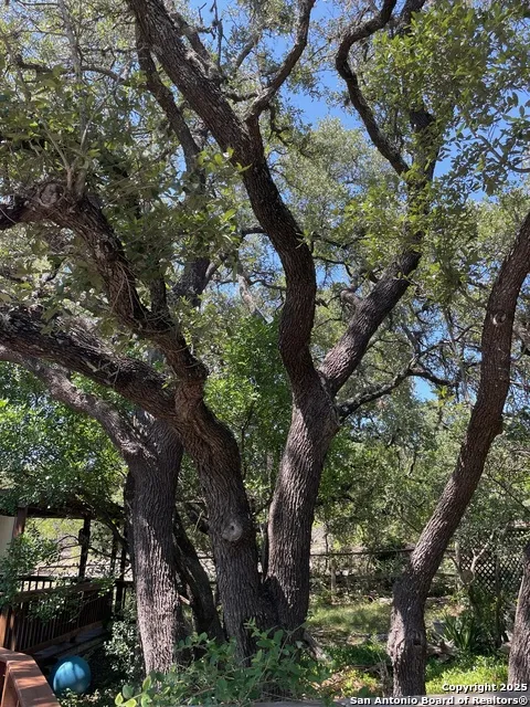 235 Scenic Pass Pipe Creek, TX 78063