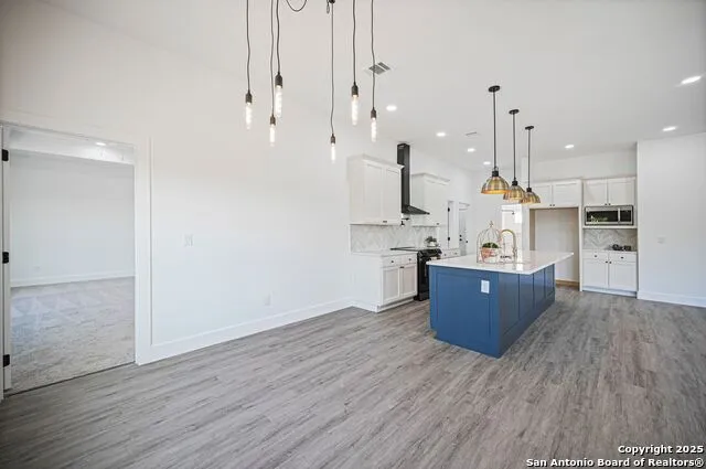 101 John Bird Blanco, TX 78606