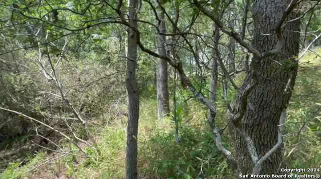 0 Kaukonahua Ln - LOT 649 / 650 Bastrop, TX 78602
