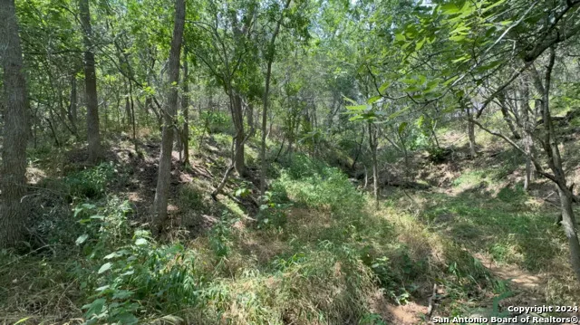 0 Kaukonahua Ln - LOT 649 / 650 Bastrop, TX 78602