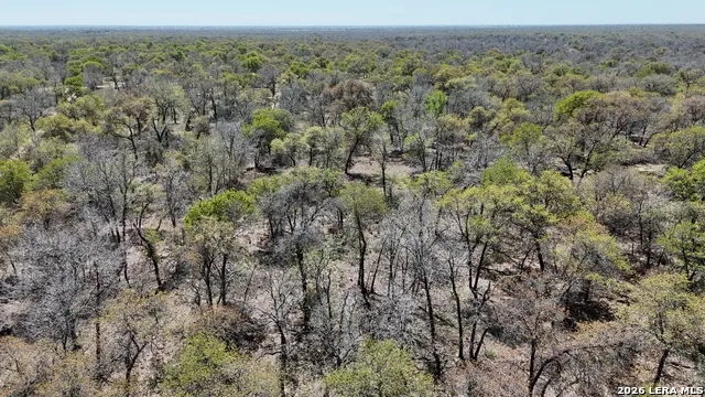 TBD Trumbo Rd Pleasanton, TX 78065