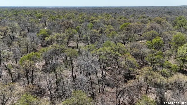 TBD Trumbo Rd Pleasanton, TX 78065