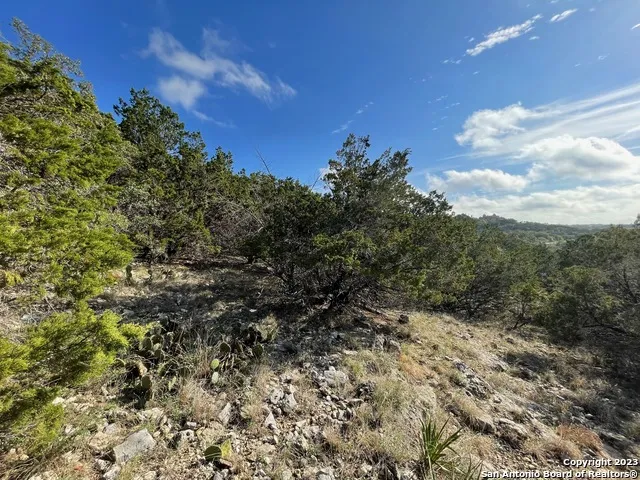 619 Winding Ravine San Antonio, TX 78258