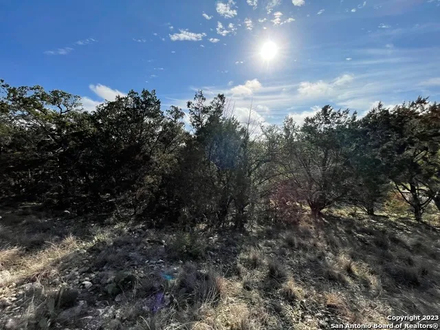 619 Winding Ravine San Antonio, TX 78258