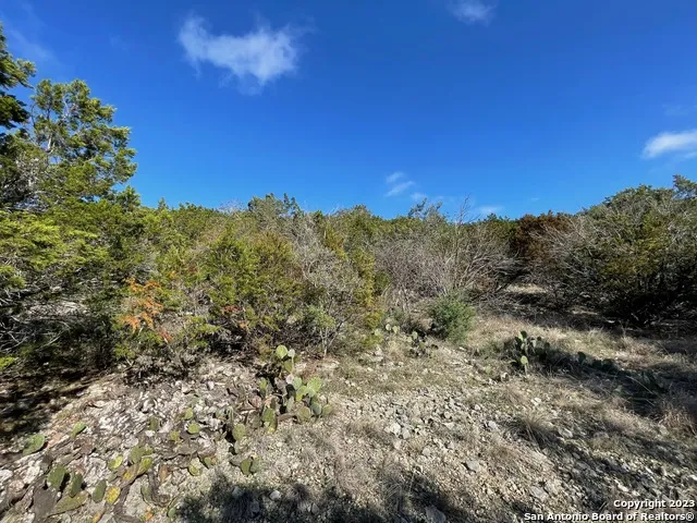 619 Winding Ravine San Antonio, TX 78258